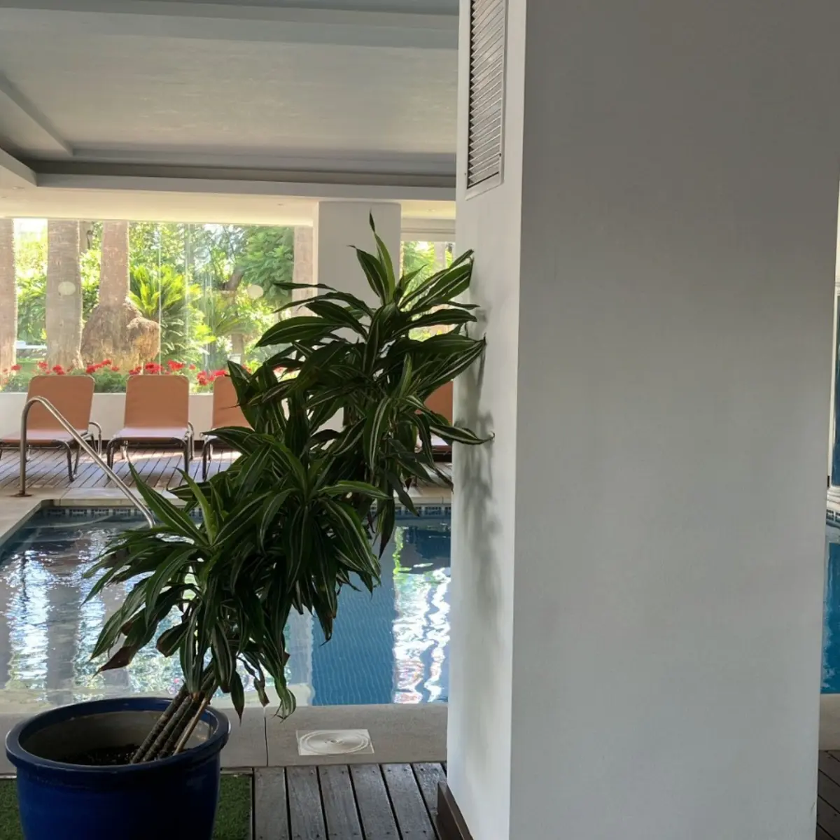 Ground Floor Apartment in Puerto Banús