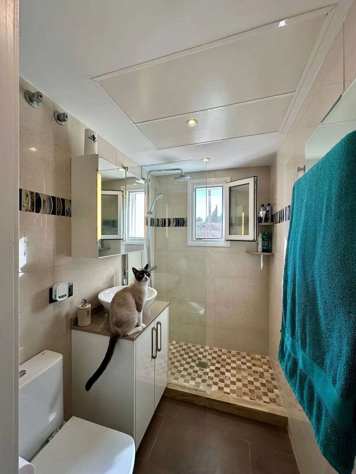 Detached Villa in Estepona