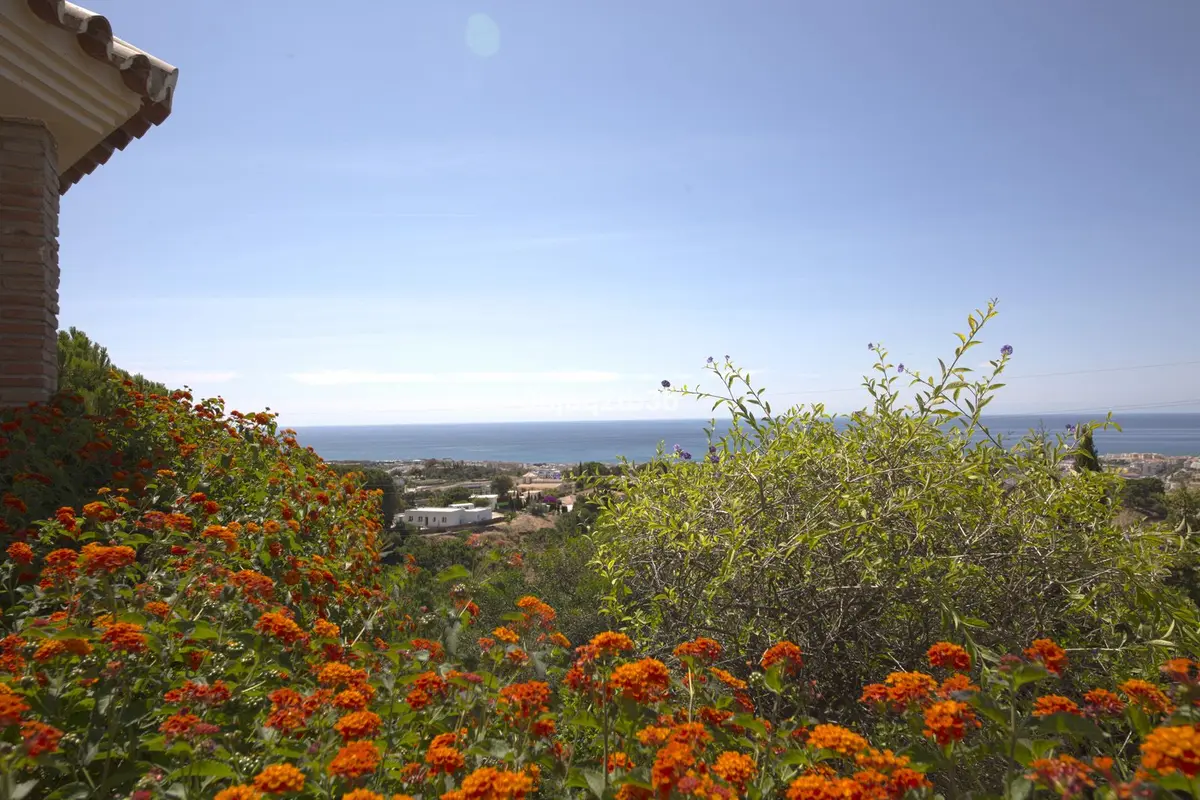 Detached Villa in Estepona