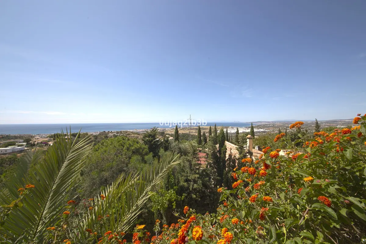 Detached Villa in Estepona
