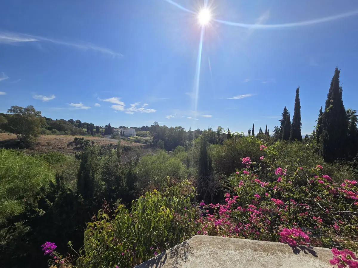 Detached Villa in Marbella