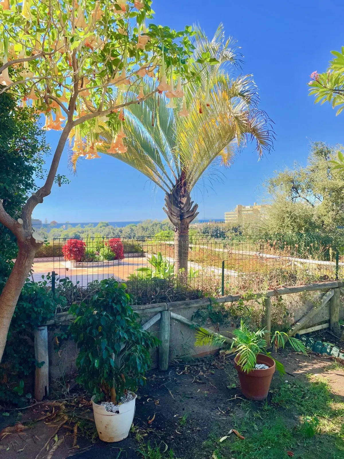 Semi-Detached House in Marbella