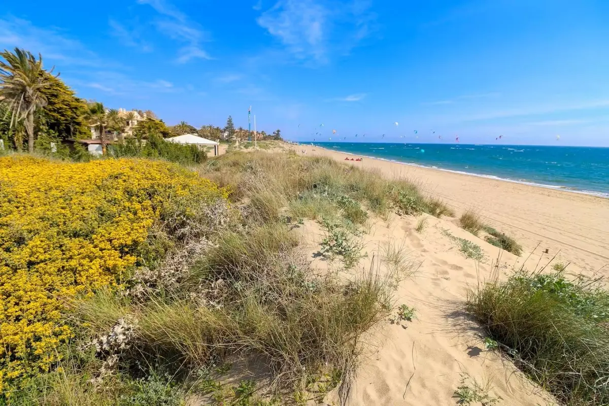 Ground Floor Apartment in Los Monteros