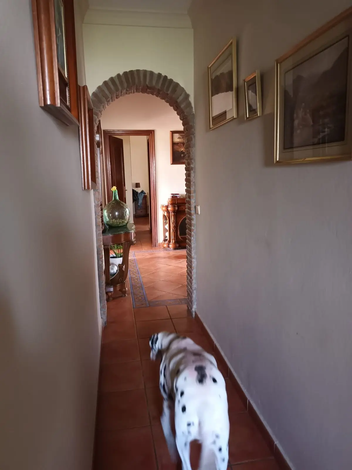 Detached Villa in Cancelada