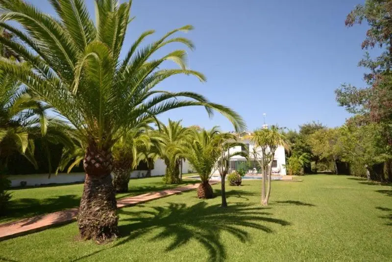 Detached Villa in Guadalmina Baja