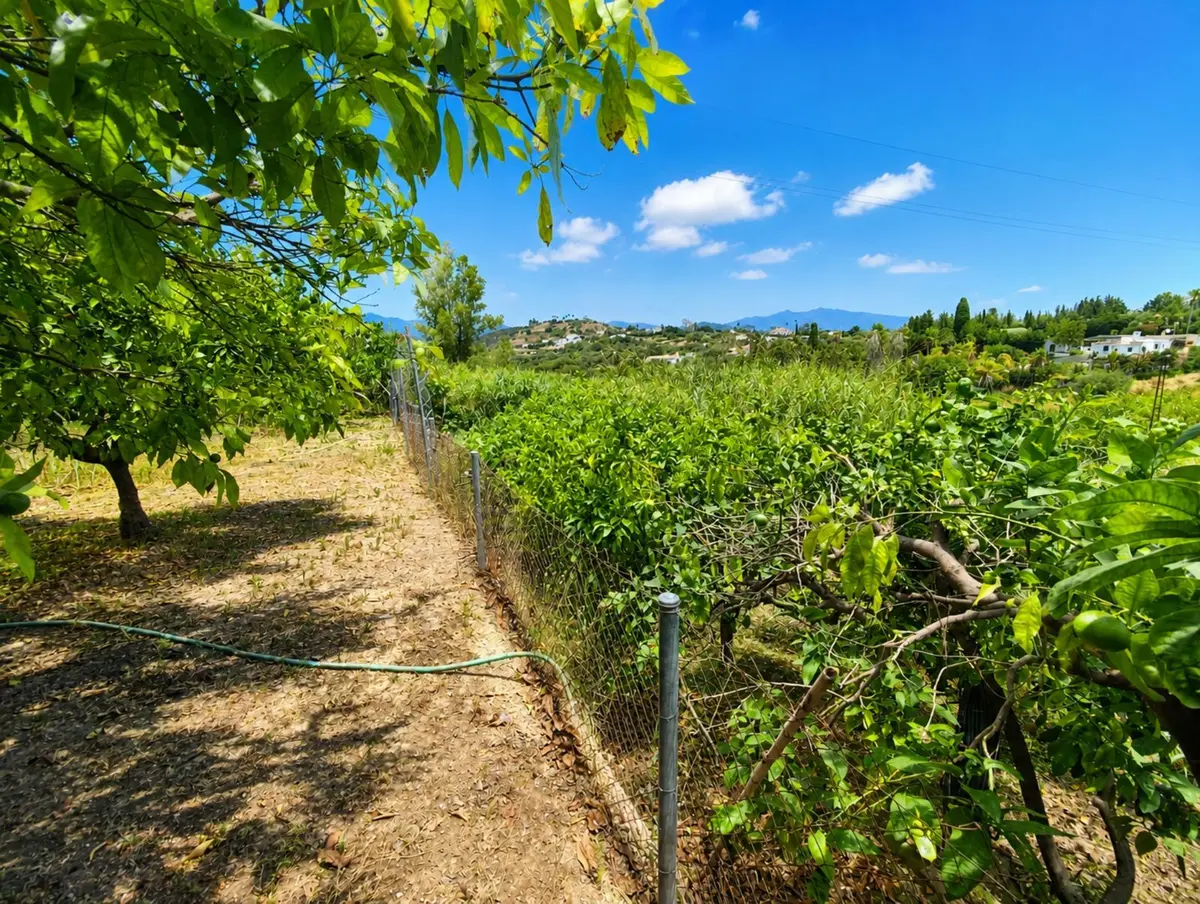Finca - Cortijo in Estepona