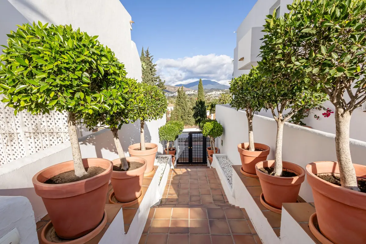 Middle Floor Apartment in Nueva Andalucía