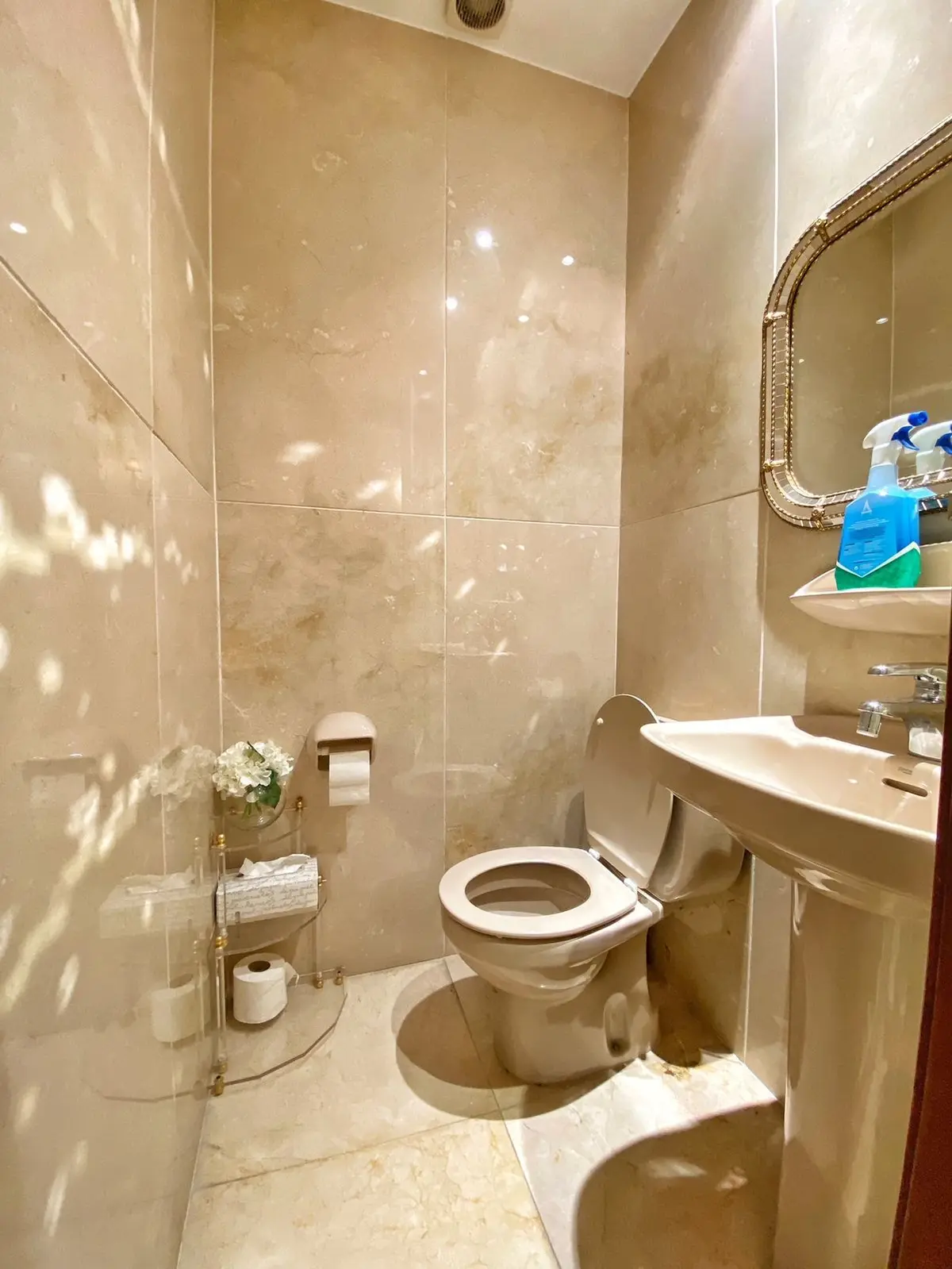 Detached Villa in Marbella
