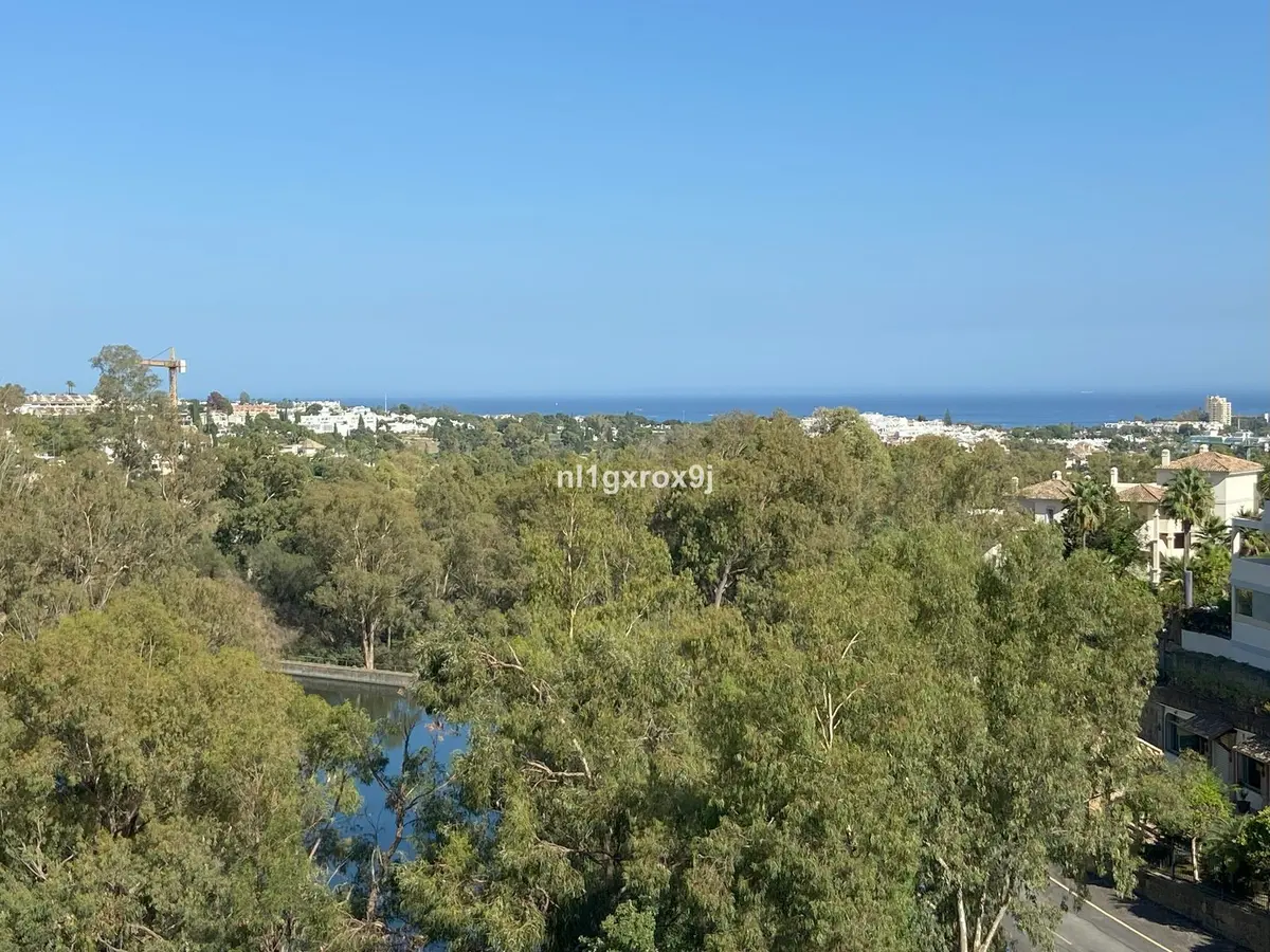 Penthouse in Nueva Andalucía