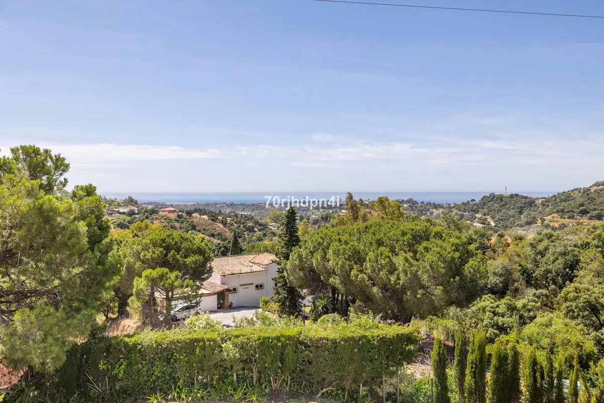 Detached Villa in Estepona