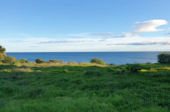 1-7020804132f1cd48fa7d0a6cde6ac64b